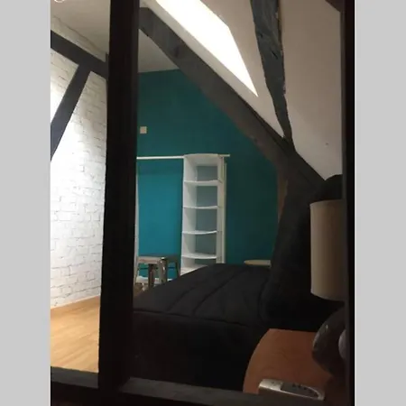 T3 Duplex Industriel Hyper Centre Historique * Troyes