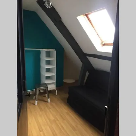Apartment T3 Duplex Industriel Hyper Centre Historique Troyes