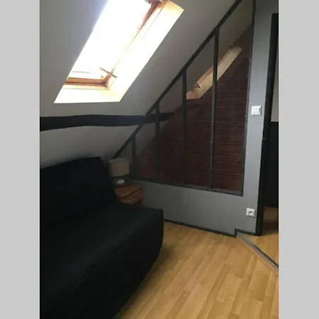 T3 Duplex Industriel Hyper Centre Historique * Troyes