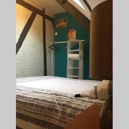 T3 Duplex Industriel Hyper Centre Historique * Troyes