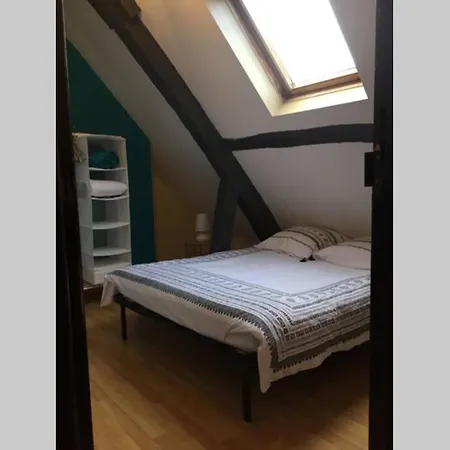 Apartment T3 Duplex Industriel Hyper Centre Historique Troyes