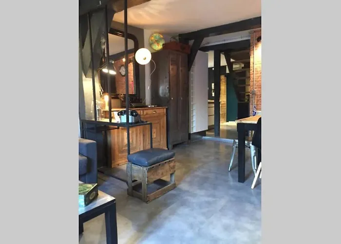 T3 Duplex Industriel Hyper Centre Historique